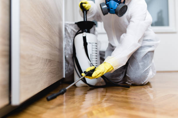 Best Best Pest Control Companies  in Cortland, NY