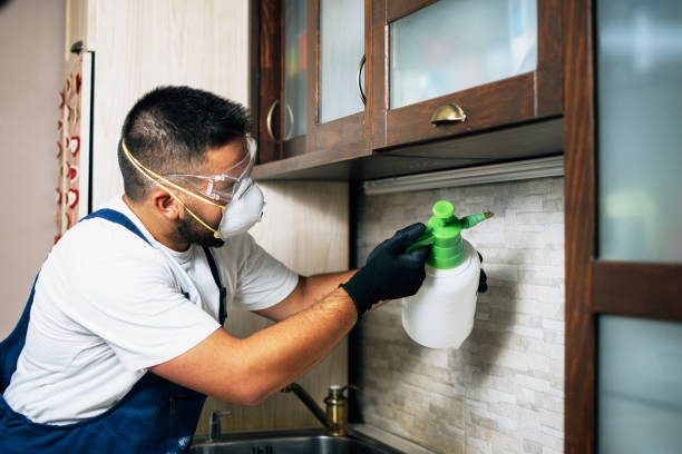 Reliable Cortland, NY Pest Control Solutions