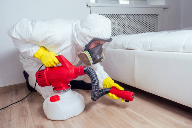 Best Wasp Removal Services  in Cortland, NY
