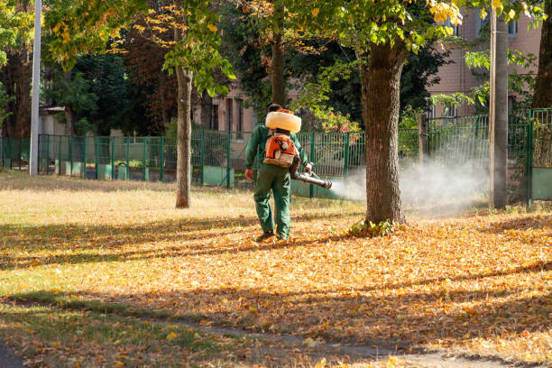 Best Pest Control Near Me  in Cortland, NY