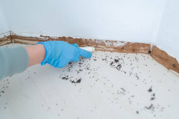 Best Pest Prevention Services  in Cortland, NY