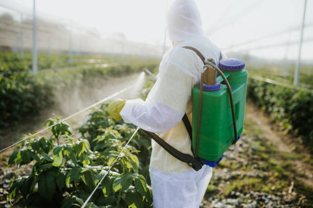 Best Best Pest Control Companies  in Cortland, NY
